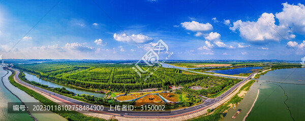 合肥濱湖國家森林公園