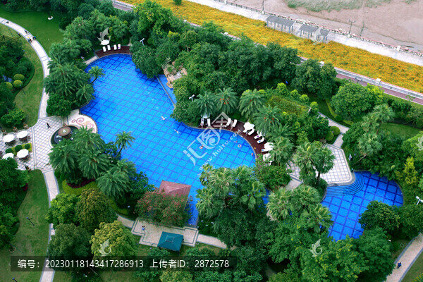 油菜花