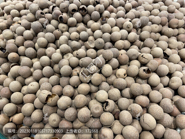 桂圓肉干貨