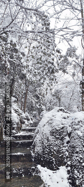 仙女山