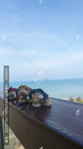 貝殼海龜