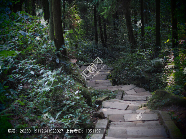 山路