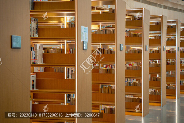 武漢東西湖臨港文化中心圖書館