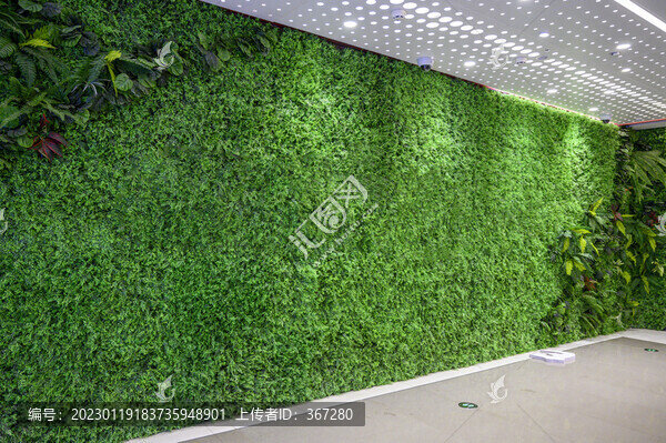 立體綠植背景墻