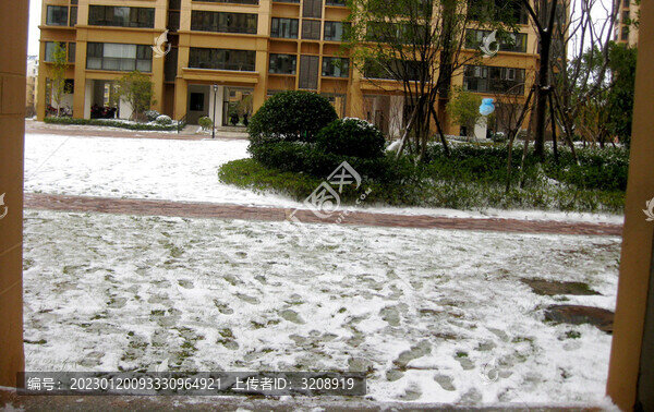 兔年雪景