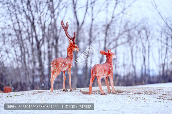揚州七河八島棠梨灣雪景
