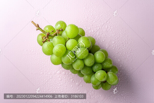 晴王葡萄
