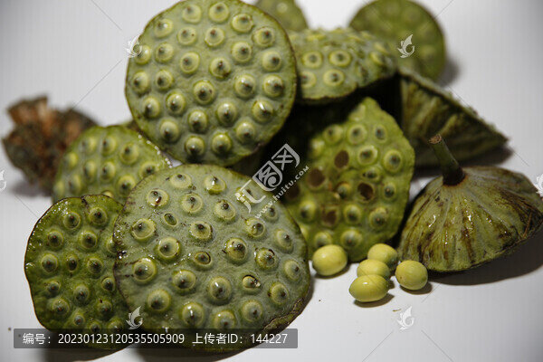 蓮蓬