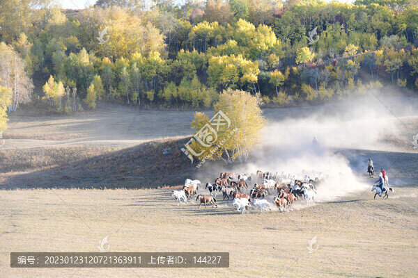 壩上奔馬
