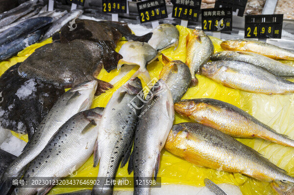 魚(yú)