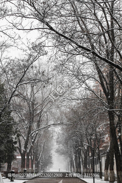 雪后馬路