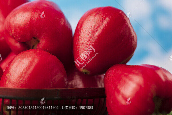 蓮霧果