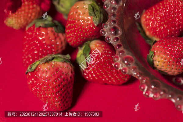 草莓-匯圖網(wǎng) www.fosd68.com 草莓