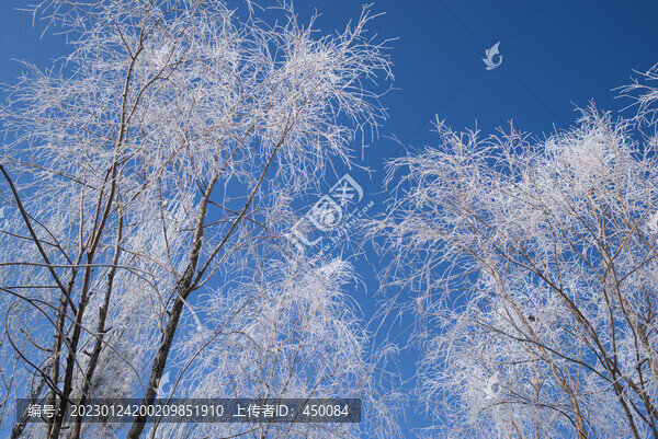 霧凇