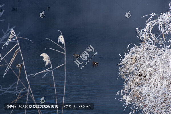 霧氣