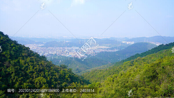 山林城市東莞風光