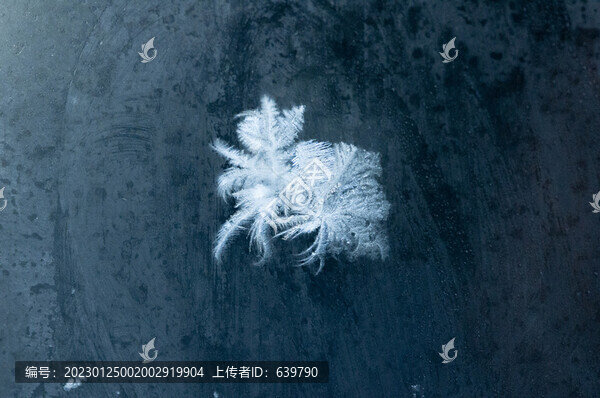 冰花