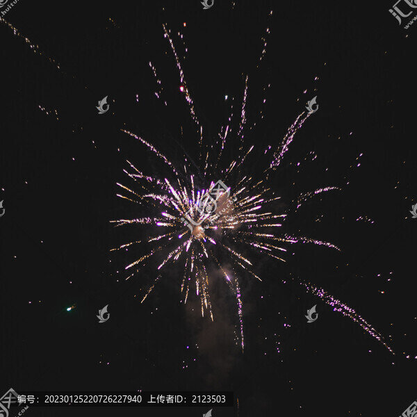 煙花特寫