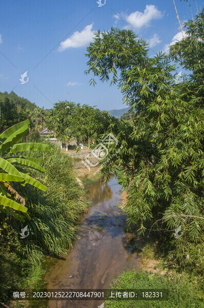 小溪綠植