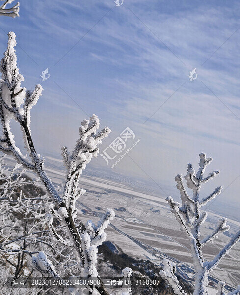 霧淞