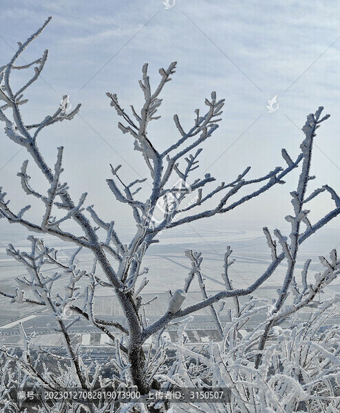 霧淞