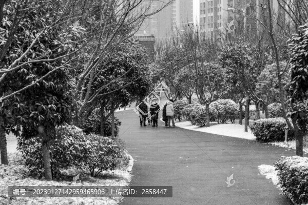 公園雪景