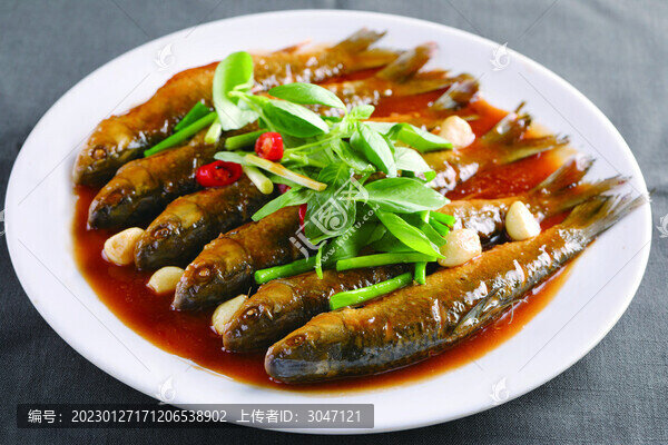 咯牙魚(yú)