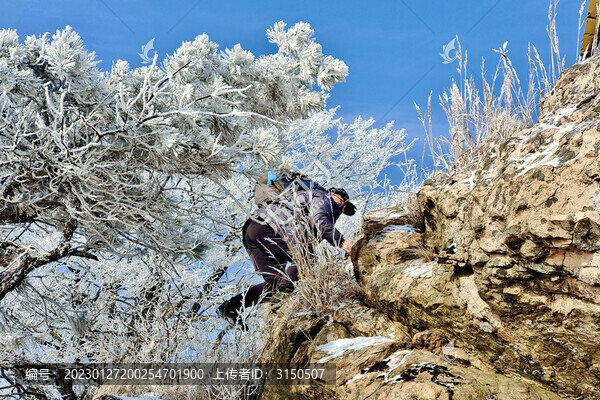 霧淞中的登山者