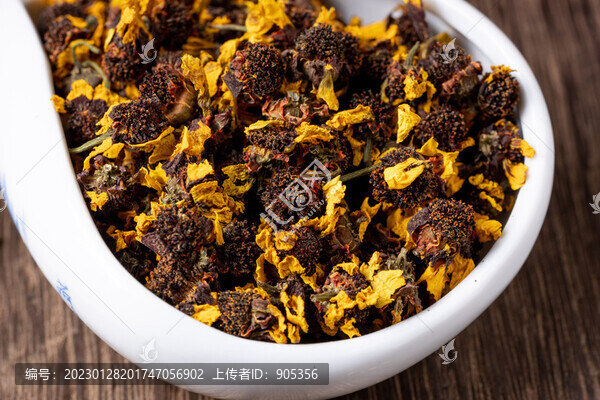 昆侖雪菊