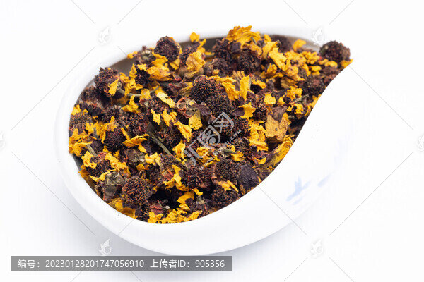 昆侖雪菊