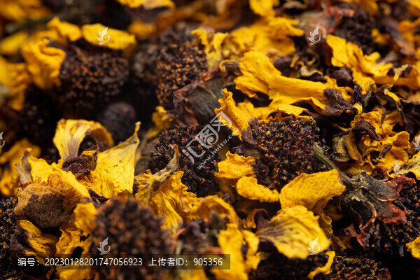 昆侖雪菊
