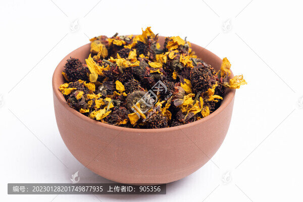 昆侖雪菊