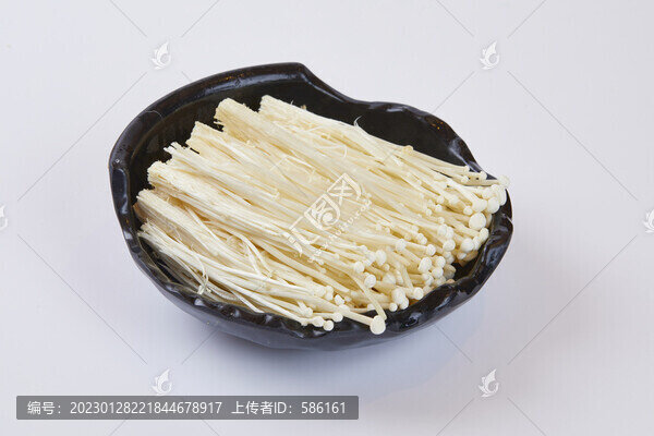 金針菇