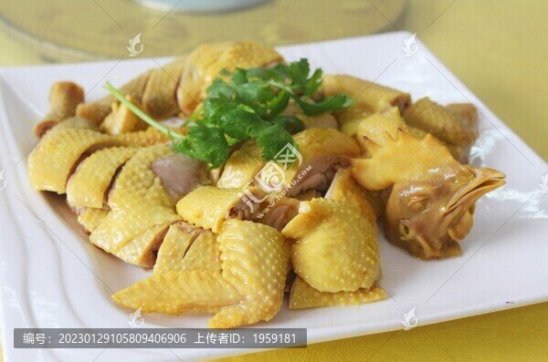 雞肉