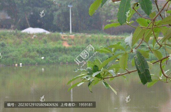 水壩