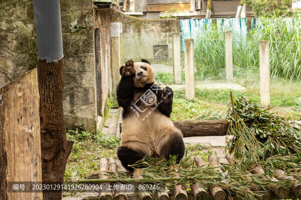 重慶動物園