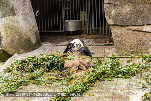 重慶動物園
