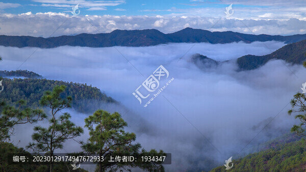 紫溪山云海