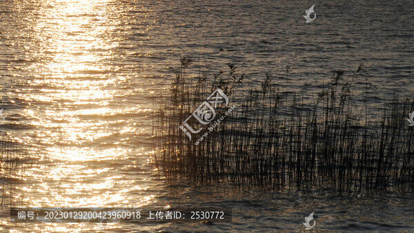 風蘆葦夕照