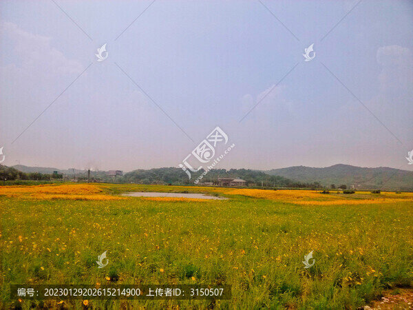 花間一灘水