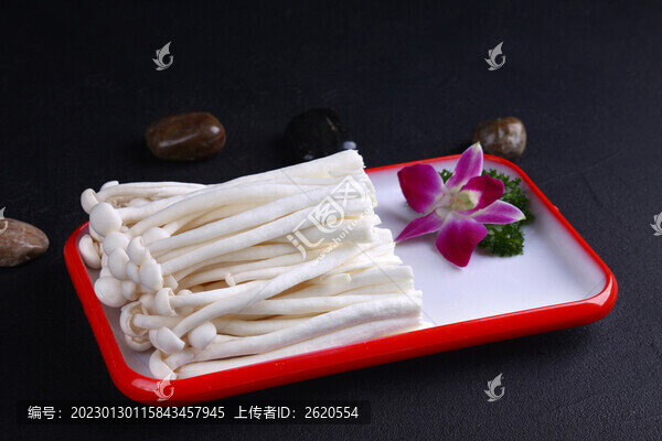 海鮮菇