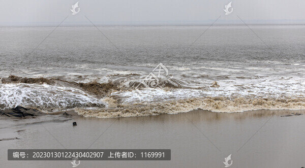 錢塘江大潮