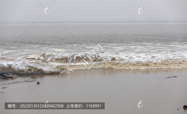 錢塘江大潮