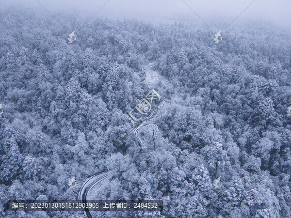 航拍雪景樹(shù)林森林冬季