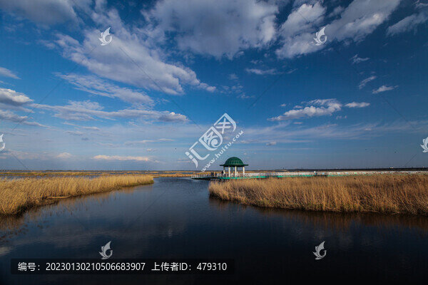 濕地公園