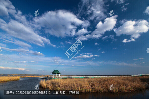 大慶濕地