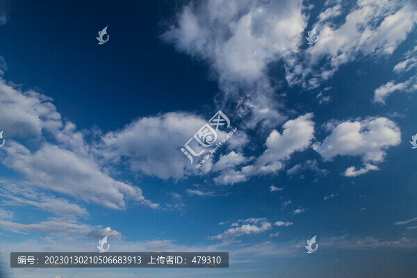 濕地公園