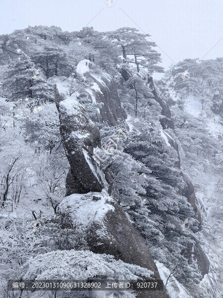 黃山雪景
