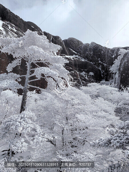 黃山雪景