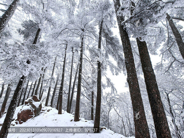 黃山雪景